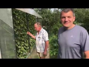 В гостях у Михаила Александровича ( МихСаныч), Александровский район ,СНТ «Берендей».