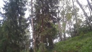 Как пройти в д. Боровка из Лепельского военного санатория