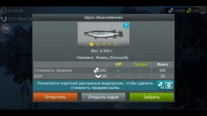 ЩУКА ОБЫКНОВЕННАЯ #MyFishingworld