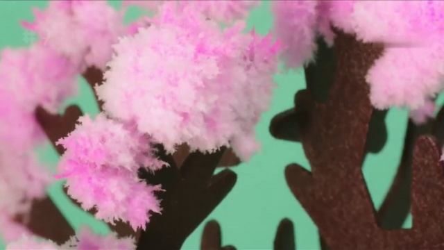 Декоративное дерево Домашнее растение Обзор. Сравнение. Купить. Отзывы. смотреть онлайн