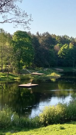 Н. »детали за скобками » » » »»»»» Прогулка по парку » » » »»»»» Звуки из скворечника