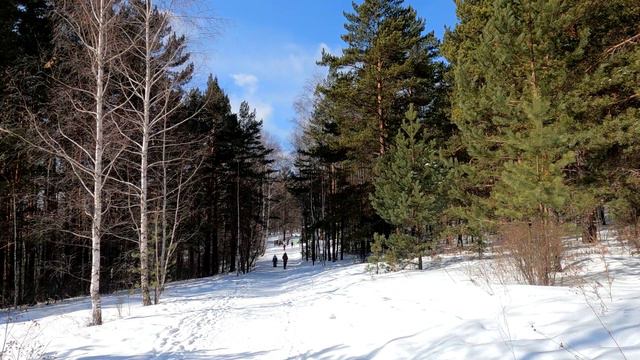 Гремячая грива парк г. Красноярск 23.03.2024г.