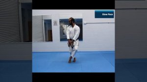 Tekki Shodan Kata