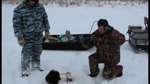 Щука на жерлицу.Рыбалка в Коломино.Первый лёд . Томск.