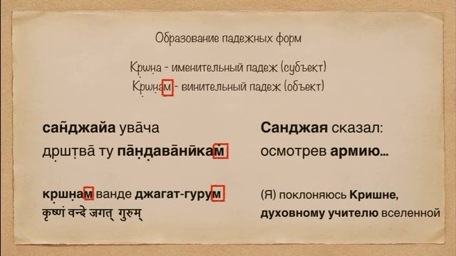 Урок 17. Морфология. Падежи: Именительный и винительный