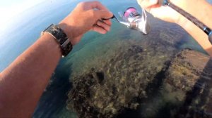 Первый черноморский Луфарь! Отличный клев на Черном Море!