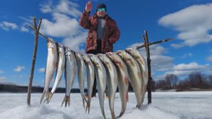 Наловили много "крупной" рыбы))) Или иллюзия большого улова))) Удачная рыбалка))