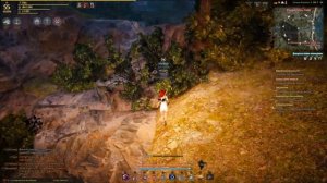 Black Desert Где собрать платиновую руду