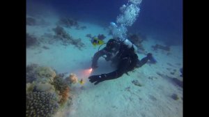 Дайвинг Египет Макади Бей часть 2