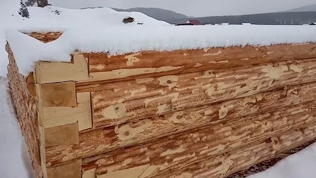 сруб в лапу 6.5х6.5 одноэтажный смотреть онлайн