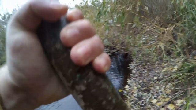 Живец на подъемник|Xiaomi Yi|Как ловить рыбу пауком|Fishing смотреть онлайн