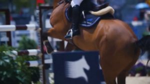 Ещё до старта далеко   Конный спорт