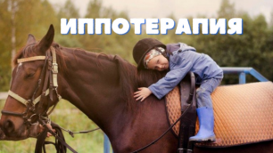 Иппотерапия — занятия конным спортом