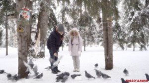 Белый снег