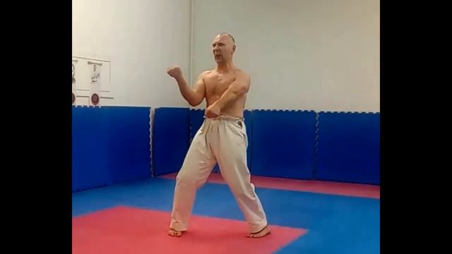 Тренировка всего тела одним упражнением/Годзю-рю Каратэ, Ката Санчин. Sanchin Kata in Goju-Ryu. смотреть онлайн