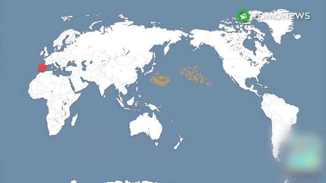Plastic waste: Wax worms can eat through plastic, researchers find - TomoNews смотреть онлайн