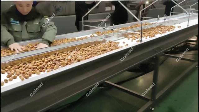 Инспекционный стол