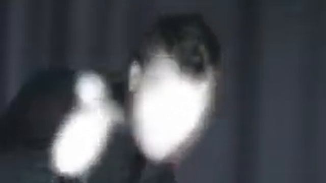 Lo Pro Edge - Set Me Free смотреть онлайн