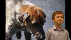 Стихотворение Сергея Есенина "Песнь о собаке" в исполнении ученика 3 класса Жарова Александра