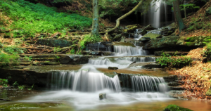 Лесной Водопад. Звуки Природы - Водопад. Скалистый Лес ✦ Звуки леса и пение птиц ✦ Relax Sleep