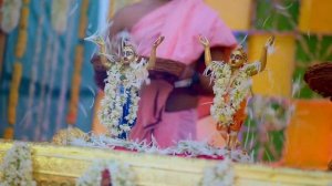 Glimpses of Panihati Festival || Sri Sri Krishna Balaram Mandir