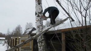 Правильная рубка и валка леса