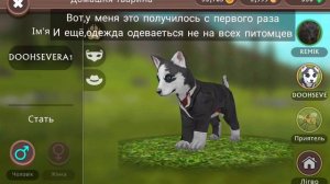 баг как одеть одежду на петомца в Wild craft/#оле7#game#вилдкрафт#вайлдкрафт#wildcraft#игра#doohrys