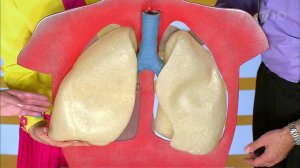 Одышка. Как перевести дух. Жить здорово! Фрагмент выпуска от 19.05.2016