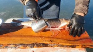 КОТЛЕТЫ ИЗ ЩУКИ НА ЛЬДУ ШАПСУГСКОГО ВОДОХРАНИЛИЩА. РЕЦЕПТЫ СЮФ.  РЫБАЛКА НА КУБАНИ