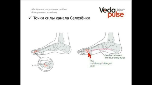 Канал Селезёнки/Поджелудочной железы, диагностика и методы воздействия смотреть онлайн