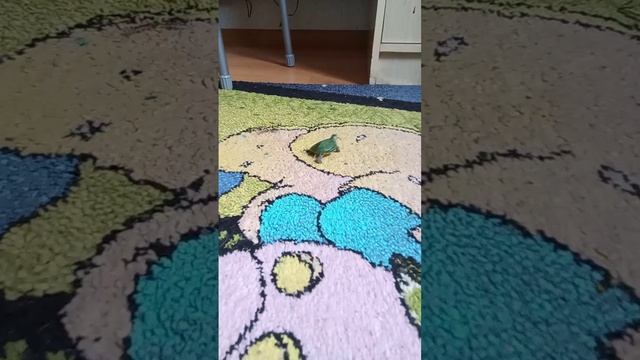 маленький гончик смотреть онлайн