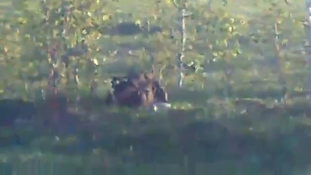 Алкаш местный!