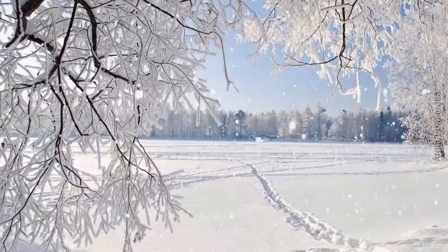 Зимнее настроение?Зимняя сказка? Падал снег? Красивая музыка зимы