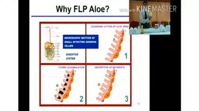 #Benifit to Aloe Vera #What is Forever Living aloe vera #Best Detoxifier Training #Aloe Vera life смотреть онлайн