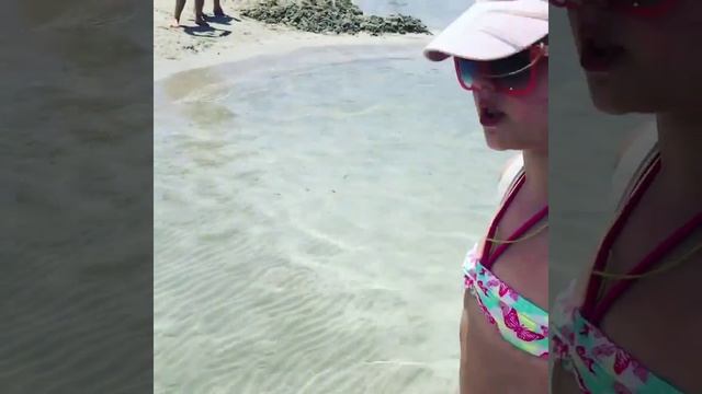 Элафониси. Пляж с розовым песком! смотреть онлайн