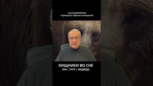 ХИЩНИКИ ВО СНЕ | ТИГР, МЕДВЕДЬ, ЛЕВ