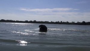 Испытание Mercury SeaPro - 25