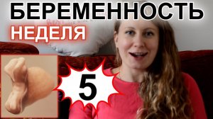 НЕДЕЛЯ 5 - БЕРЕМЕННОСТЬ ПО НЕДЕЛЯМ  ПОЛОЖИТЕЛЬНЫЙ ТЕСТ