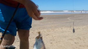 Ловим рыбу, загораем, обед на природе. Аргентина. Mar de Ajo.