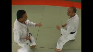 Уроки рукопашного боя.  Изучаем приемы самозащиты при исполнении ката Эмпи в каратэ