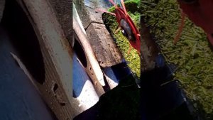 Какие выбрать насадки на триммер для покоса