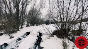 Прощание  с шишигой мечты