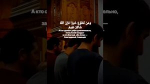 Сура Аль-Бакара (154-163) Умар Силдинский