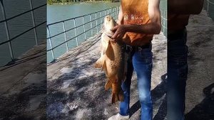 Рыбалка в КБР кемпинг