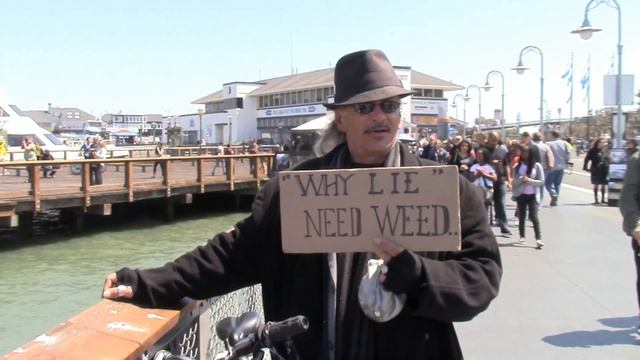 (281) Обманщики на улицах СФ и морские львы!!! Америка. . смотреть онлайн