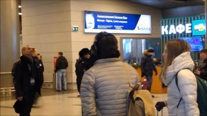 полиция аэропорт Внуково