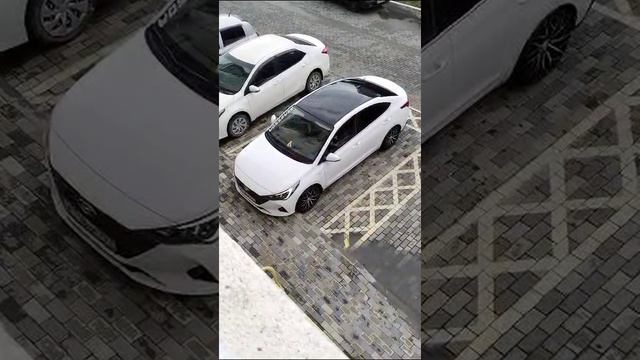 "Веселое" соседство в Новороссийске