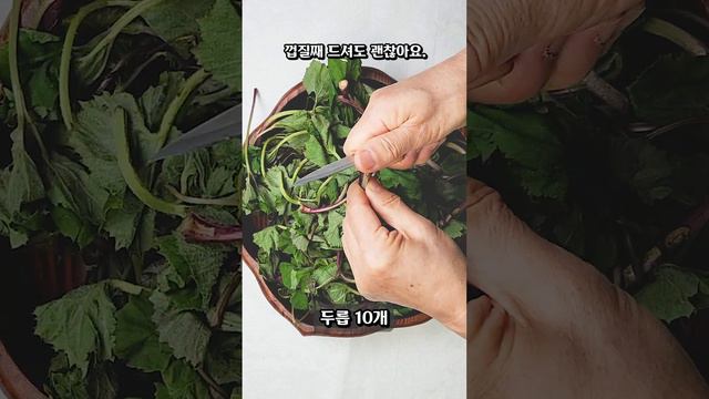 암세포를 파괴해 사멸시키는 쌉싸름한 머위나물 무침 смотреть онлайн