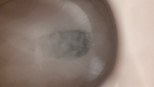 Смываю воду в унитаз, завтра проверим будет ли она вонять говном смотреть онлайн