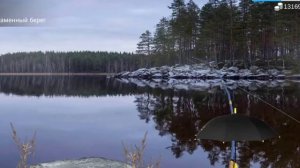 My Fishing World - Нерка, Сиг, Вырезуб секреты где и как поймать | Часть - 20
